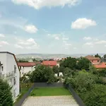 Zen Garden Apartments